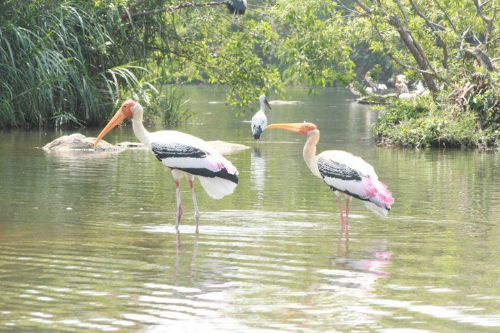 Bharatpur (3)