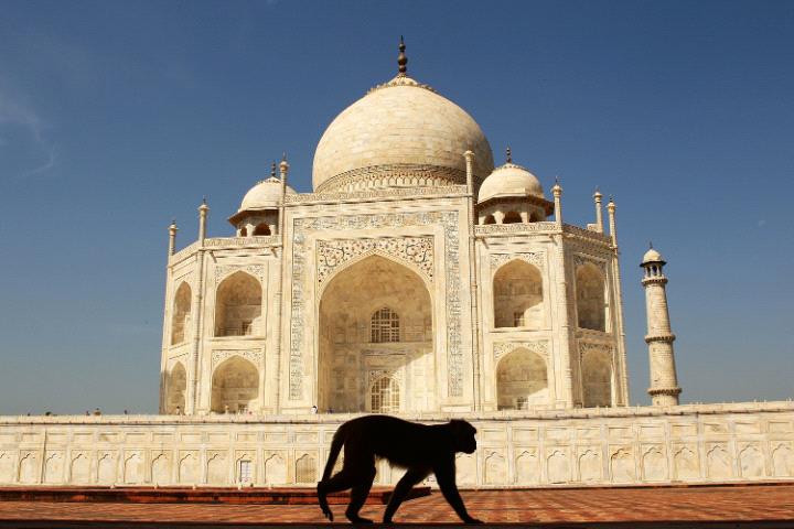 Taj Mahal, Agra-4